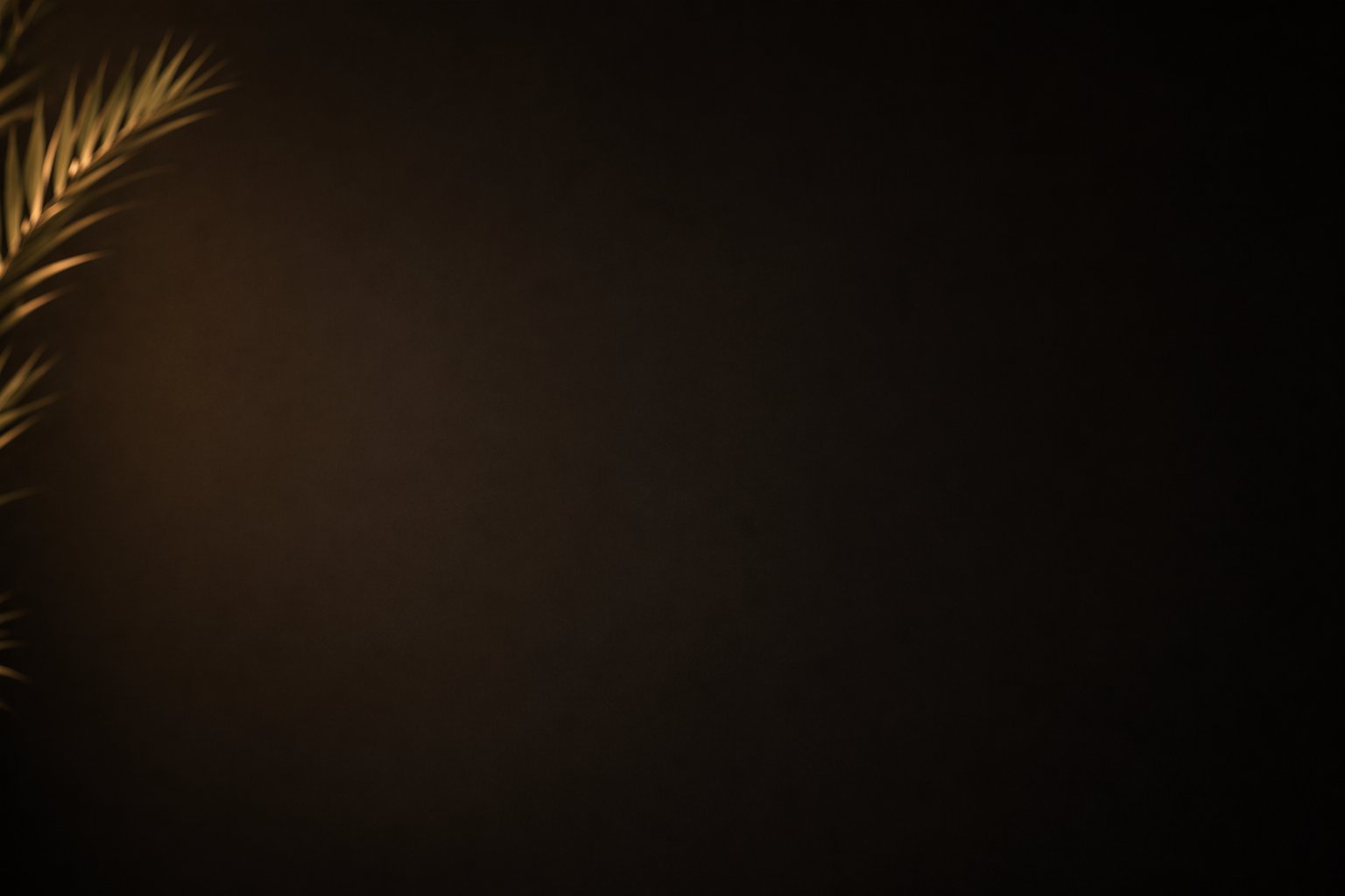 Golden wheat stalk on dark background with copy space